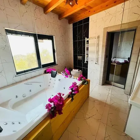 Dacron / Kalkan 4*